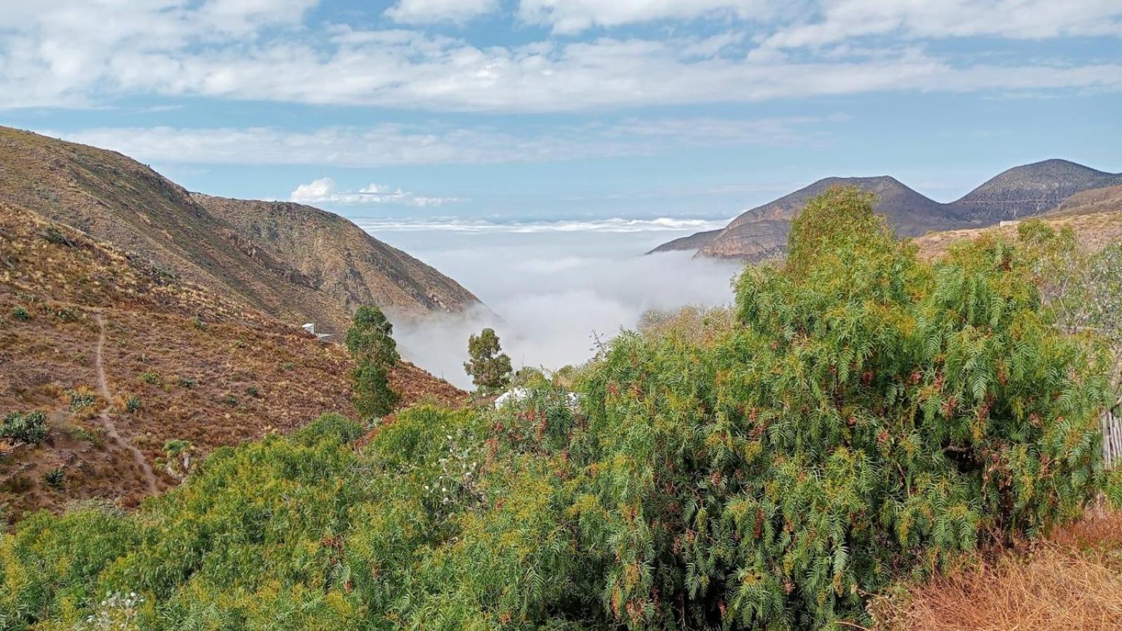 Ventana Al Desierto Guest House Catorce Exterior photo